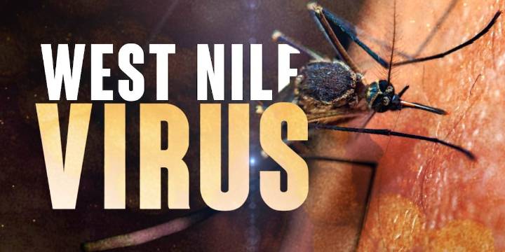 West Nile death confirmed in Daviess Co.