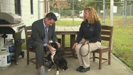 Pet of the Week: Meet Pluto!