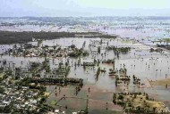 Over 11,000 power staff deployed in Andhra during Cyclone Montha: Chief Secretary