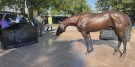 Dedication of monument honoring Madison County teen and a beloved racehorse
