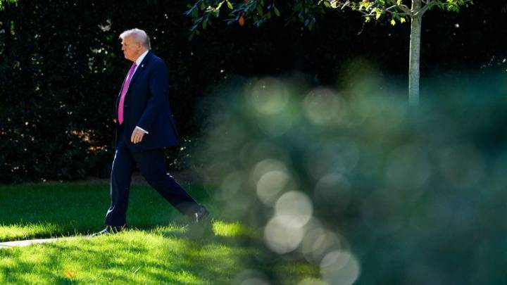 Donald Trump is not on the ballot, but he’s a major factor in the November elections