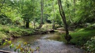 Ruta prestosa en el oriente asturiano: un camino mágico al nacimiento del río Cabra