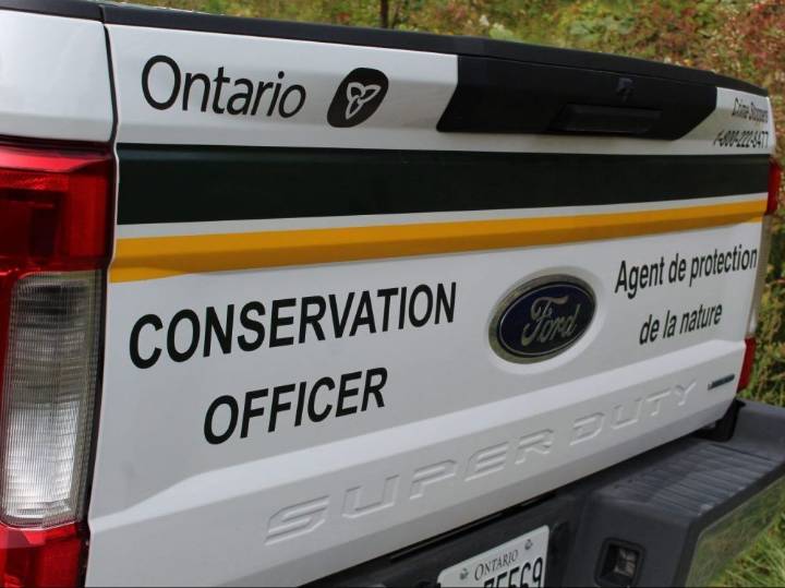 Two Renfrew County men fined for deer removal violations