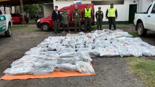 Decomisan 950 kilos de pescados que eran trasladados en un vehículo