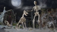 Home Depot Halloween deals: Skelly's giant pet cat and dog are on sale