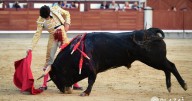 Solo destaca el mexicano Emiliano Osornio en el estreno de la Feria de Otoño