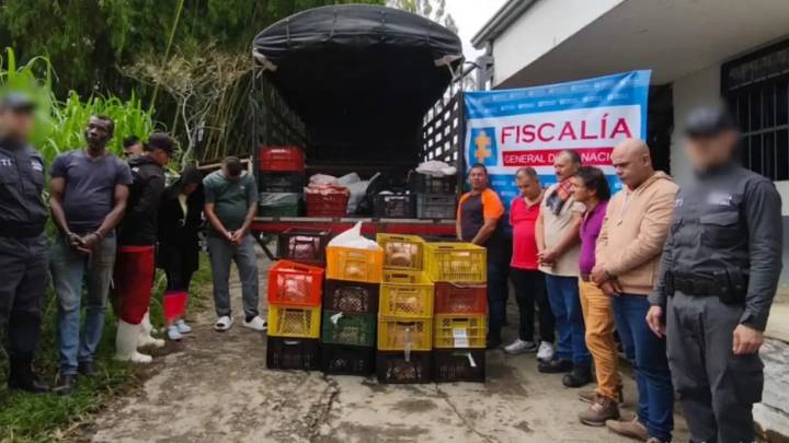 Cayeron 'Los Carroñeros': sacrificaban animales enfermos en mataderos para vender su carne en Pereira