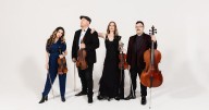 Go away with ... Derek Stein of Vitamin String Quartet