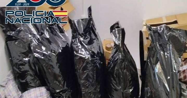 Las "guarderías de la droga": siete detenidos entre Granada y Málaga por cultivar y exportar marihuana a Europa