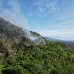 Peligran reservas forestales por incendios en zona rural de Neiva