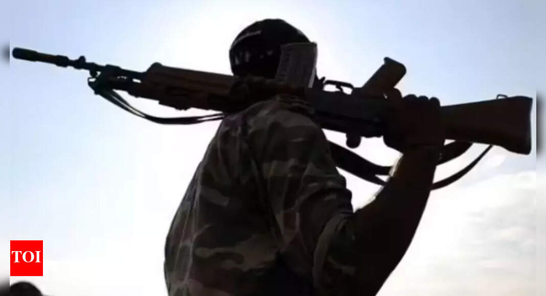 Maoists lay down arms, vow to ‘work for and with people’