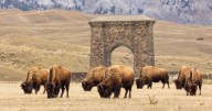 Wyoming to feel impacts of federal government shutdown