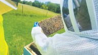 Responsible beekeeping begins with learning