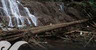 Aumenta a 21 el número de muertos por lluvias en Puebla