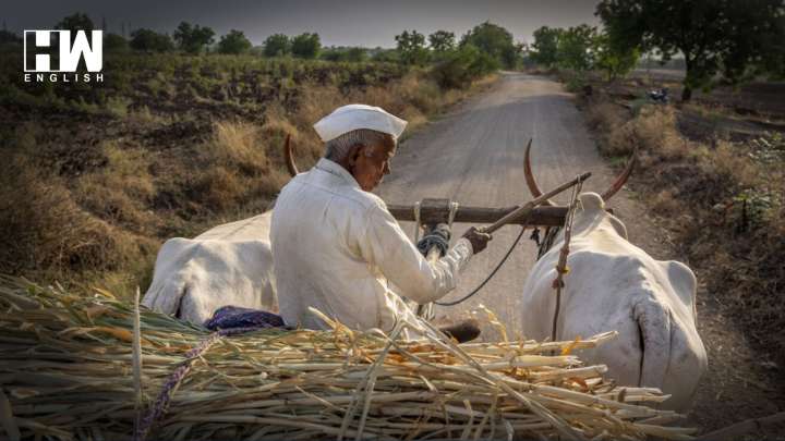 Opinion | The Farmers Crisis: Could The Government Have Saved 10,786 Lives?
