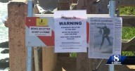‘Aggressive sea otter’ signs appear in Santa Cruz