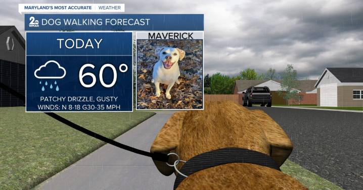 A grey & gusty start to the week