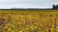 USDA is reopening some 2,100 offices to help farmers access $3B in aid despite the ongoing shutdown