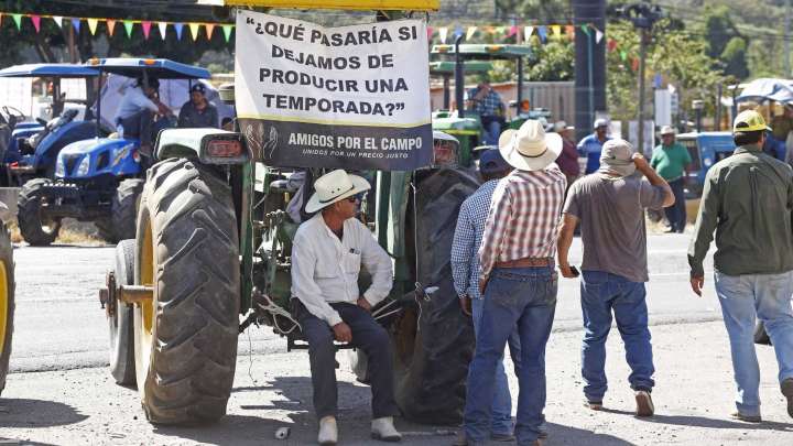 Hay Bloqueos Hoy por Paro Nacional de Agricultores: Zonas Afectadas por Protestas de la UNTA