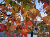 NJ weather: Drying out, clearing out, and cooling down again