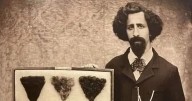 'Grim' history behind the merkin that concealed horror 15th century health condition