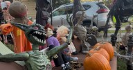 Explore the Triangle's spooktacular displays: From singing skeletons to haunted houses :: WRAL.com