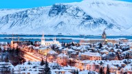Mosquitoes Signal Immense Changes To Iceland's Instagram