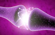 Crean neuronas artificiales que funcionan como las reales