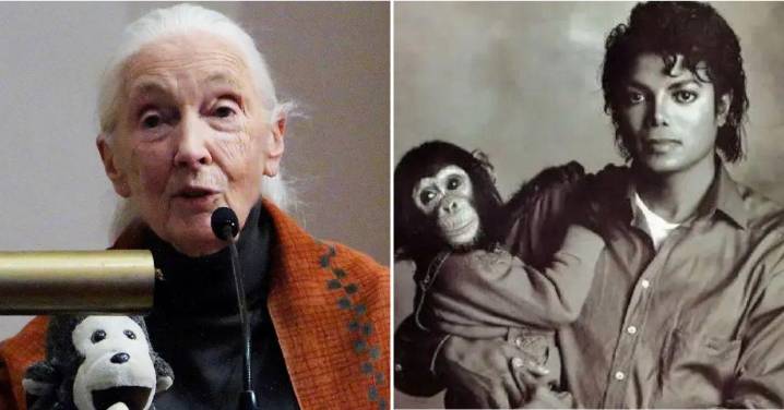 Jane Goodall Feared Michael Jackson Chimp Bubbles Was 'Abused'