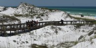 FWC: Red tide numbers increasing along Florida’s Gulf Coast