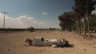 Gaza ceasefire: families wait anxiously for hostages release