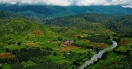 In Kerala’s Attappadi, ecological destruction and land loss has affected the health of Adivasis