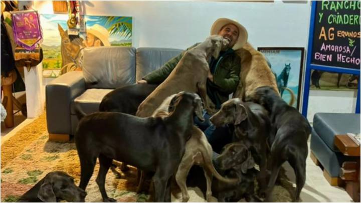El precandidato presidencial Andrés Guerra cuenta la historia de sus 114 perros: “Braco es el jefe”