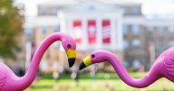 13th annual 'Fill the Hill' at UW-Madison kicks off, raising thousands for student causes in 24 hours
