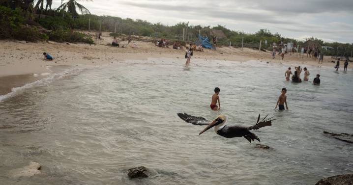 El año uno del Renacimiento Maya en Yucatán: Balance para el país