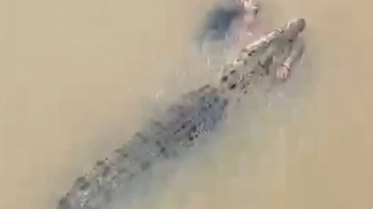 Crocodile Drags Woman Into River In Odisha, Onlookers Watch In Horror Viral News