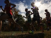 Which area boys cross country runners qualified for 2025 OHSAA finals?