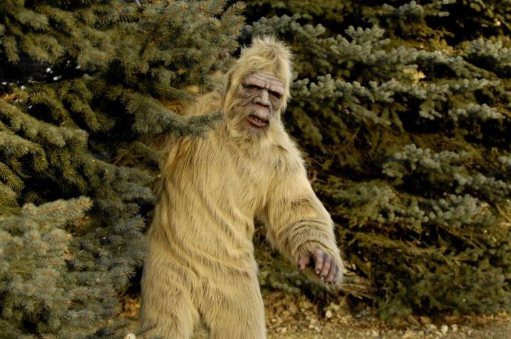 Why Is Harassing Bigfoot Illegal In Washington State?