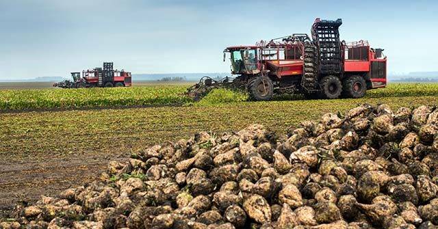 VIDEO – 'Love in Action': Farmers Harvest 400 Acres for Dad with ALS
