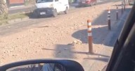 Conductores denuncian caída de ripio en Avenida Copayapu frente a la Universidad de Atacama