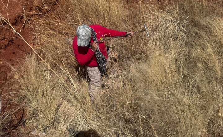 Pese a amenazas, buscadoras de Irapuato localizan 241 fosas en dos años y medio