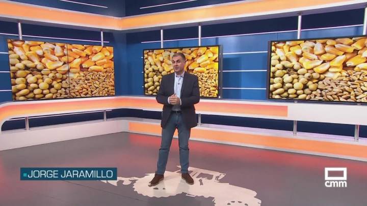 El campo - 27/10/2025