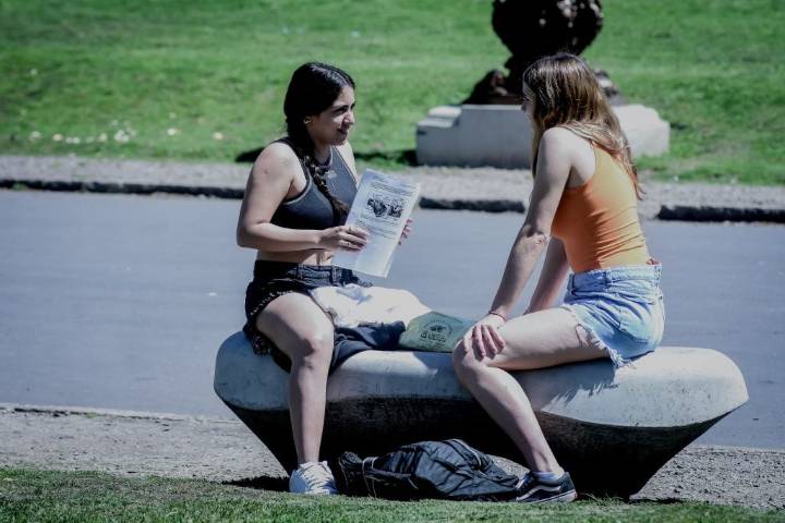 Cómo estará el clima este viernes en Mar del Plata