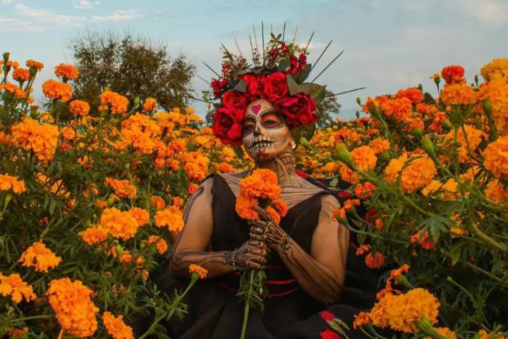 El cempasúchil ilumina el Día de Muertos