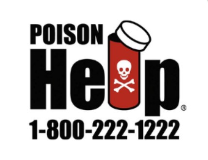 Scare Away Poisons This Halloween!