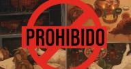 Tras años de lucha, el Mercado de Sonora por fin dejará de vender animales... si no se amparan