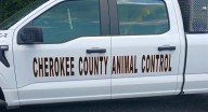 Vaccine & Microchip Clinic Postponed