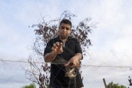 La caza tradicional de aves en Egipto, entre la tradición y la amenaza de la extinción