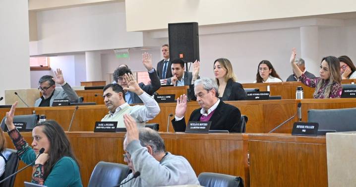 Renuncia en el Deliberante de Neuquén: un concejal deja su banca y confirmaron a su reemplazante