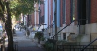 Dog "snapped" before Baltimore police killed pet, struck man with stray bullet, owner says